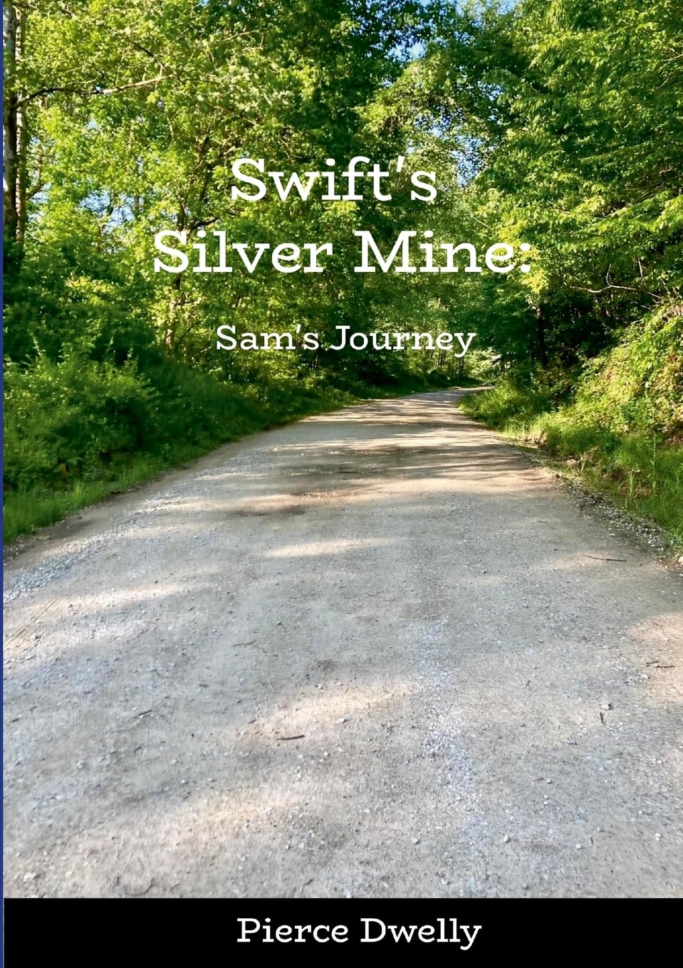 Swift's Silver Mine:: Sam's Journey