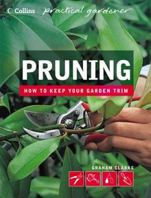 Pruning (Collins Practical Gardener S.)