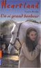 Heartland : le pays où l'amour des chevaux guérit toutes les blessures. Vol. 20. Un si grand bonheur