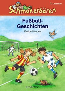 Fußballgeschichten: 1. Lesestufe