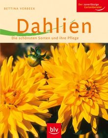 Dahlien: Die schönsten Sorten und ihre Pflege