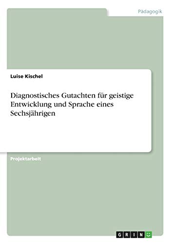Diagnostisches Gutachten für geistige Entwicklung und Sprache eines Sechsjährigen