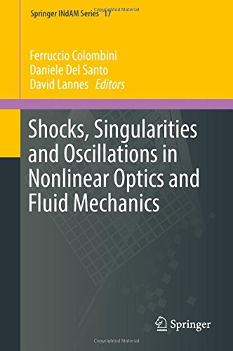 Shocks, Singularities and Oscillations in Nonlinear Optics and Fluid Mechanics (Springer INdAM Series)