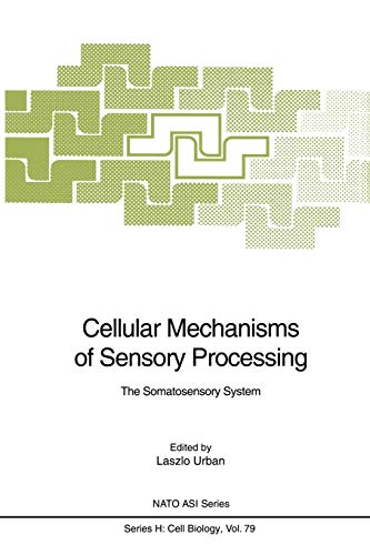 Cellular Mechanisms of Sensory Processing: The Somatosensory System (Nato ASI Subseries H:, 79, Band 79)