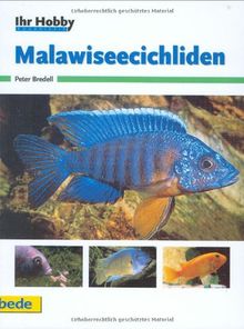 Malawiseecichliden, Ihr Hobby