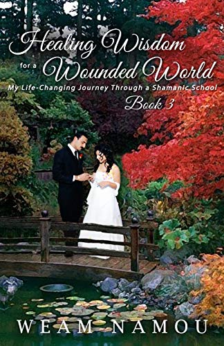Healing Wisdom for a Wounded World: My Life-Changing Journey Through a Shamanic School: My Life-Changing Journey Through a Shamanic School (Book 3)