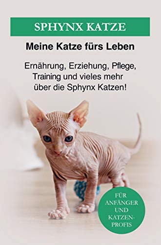 Sphynxkatze: Ernährung, Erziehung, Pflege, Training und einiges mehr über die Sphinx