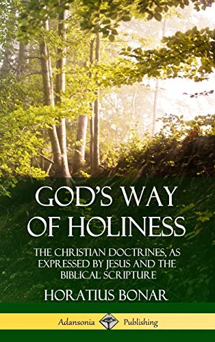 God?s Way of Holiness: The Christian Doctrines, as Expressed by Jesus and the Biblical Scripture (Hardcover)
