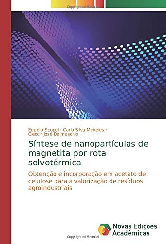 Síntese de nanopartículas de magnetita por rota solvotérmica: Obtenção e incorporação em acetato de celulose para a valorização de resíduos agroindustriais