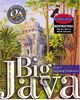 Big Java: International Edition