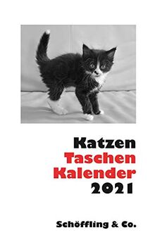 Katzen Taschenkalender 2021