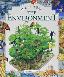 The Environment, The (How it works)