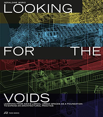 Looking for the Voids - Géraldine Borio Kartoniert (TB)