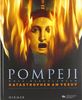 Pompeji - Nola - Herculaneum: Katastrophen am Vesuv; Katalog zur Ausstellung in Halle, Landesmuseum für Vorgeschichte, 09.12.2011-08.06.2012
