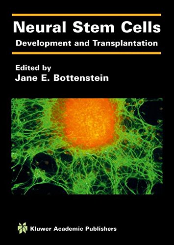 Neural Stem Cells: Development and Transplantation