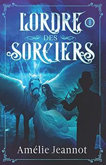 L'Ordre des Sorciers: Tome 1