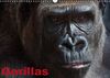 Gorillas/Geburtstagskalender (Wandkalender immerwährend DIN A3 quer)