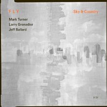 Sky & Country von Fly Trio  | CD | Zustand gut