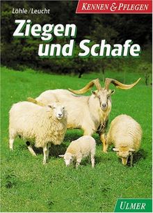 Ziegen und Schafe von Löhle, Klaus, Leucht, Wolfgang | Buch | Zustand sehr gut