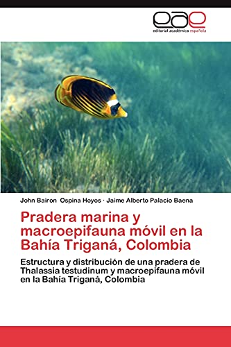 Pradera marina y macroepifauna móvil en la Bahía Triganá, Colombia: Estructura y distribución de una pradera de Thalassia testudinum y macroepifauna móvil en la Bahía Triganá, Colombia