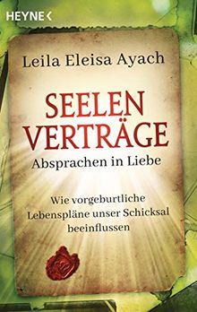 Seelenverträge. Absprachen in Liebe: Wie vorgeburtliche Lebenspläne unser Schicksal beeinflussen