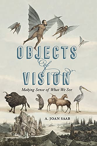 Objects of Vision: Making Sense of What We See (Perspectives on Sensory History, Band 3)