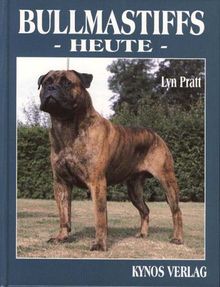 Bullmastiffs heute