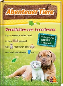 Abenteuer Tiere. Tierische Geschichten zum Lesenlernen (Mein großes Bilder-Lesebuch)