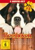 Beethoven - Teil 1-3 [3 DVDs]