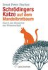 Schrödingers Katze auf dem Mandelbrotbaum: Durch die Hintertür zur Wissenschaft