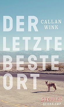 Der letzte beste Ort: Stories