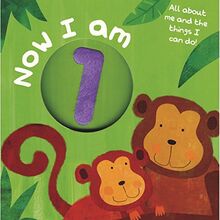 Board Book - I am 1 (Number Touch & Feel Books) | Buch | Zustand gut