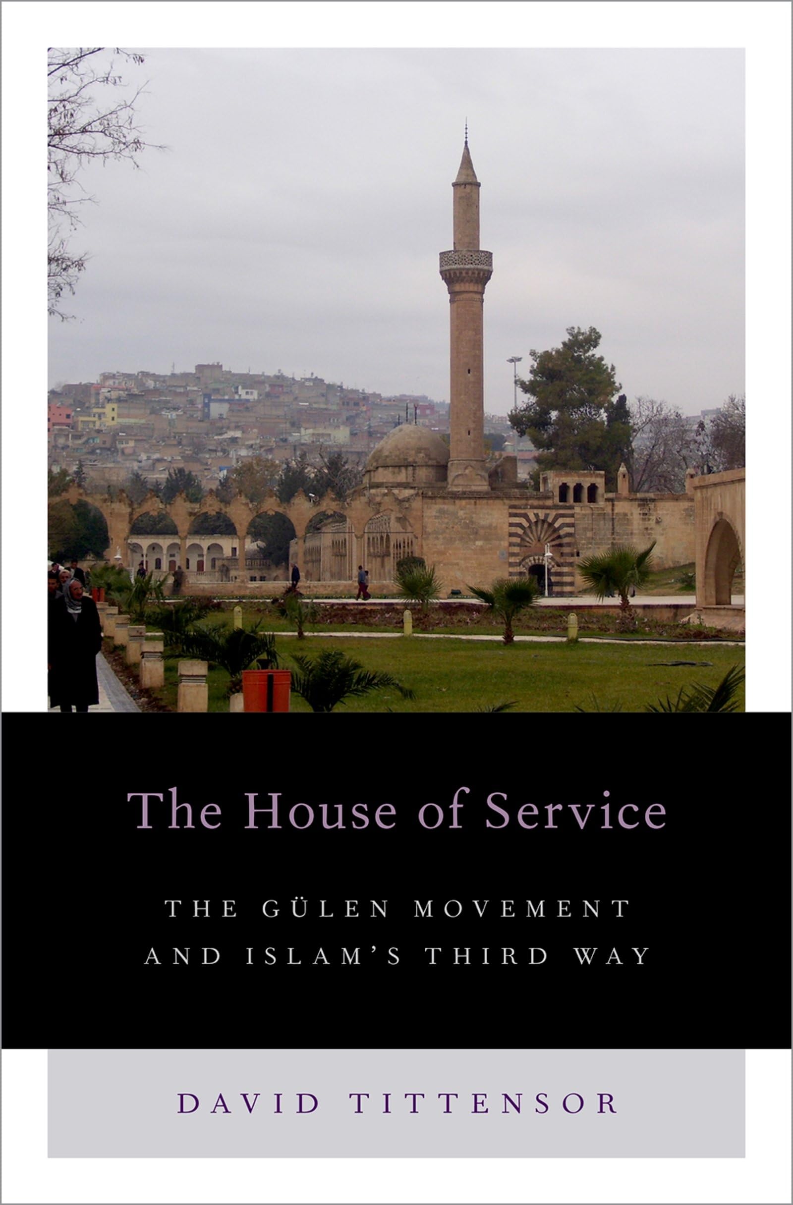 House of Service: The Gulen Movement and Islam's Third Way (Religion and Global Politics)