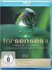 Forsenses II - Timber Lounge/A Fascinating Journey through Nature & Sound [Blu-ray]