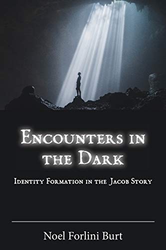 Encounters in the Dark: Identity Formation in the Jacob Story (Semeia Studies, Band 96)