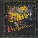 Live a Little Love a Lot