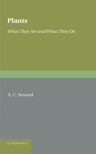 Plants: What They Are and What They Do