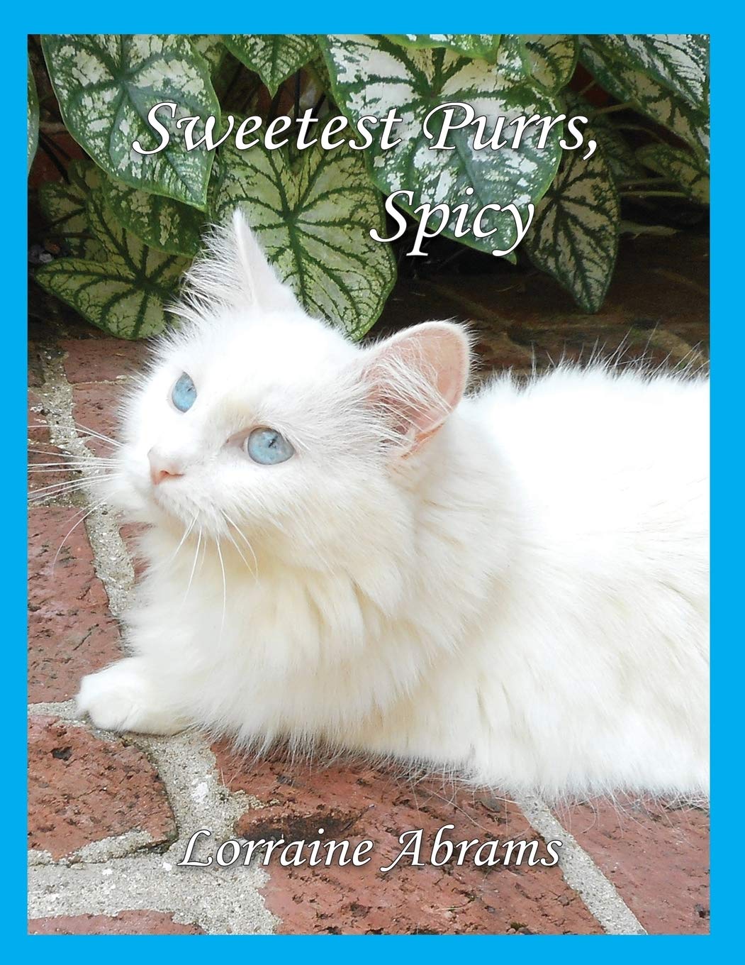 Sweetest Purrs, Spicy (Adventures of Spicy, Band 4)