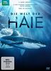 Die Welt der Haie [2 DVDs]