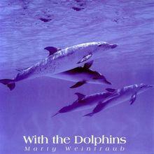 Dolphin Serenade