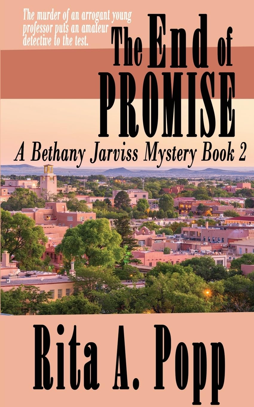 The End of Promise (A Bethany Jarviss Mystery, Band 2)
