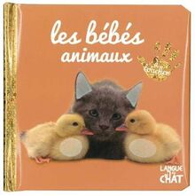 Les bébés animaux : à toucher