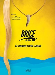 Brice de Nice : le grand livre jaune