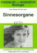 Biologie, Sinnesorgane: Stundenbilder für die Sekundarstufe. Lehrskizzen - Tafelbilder - Folienvorlagen - Arbeitsblätter mit Lösungen