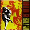 Use Your Illusion I (Back-To-Black-Serie) [Vinyl LP]