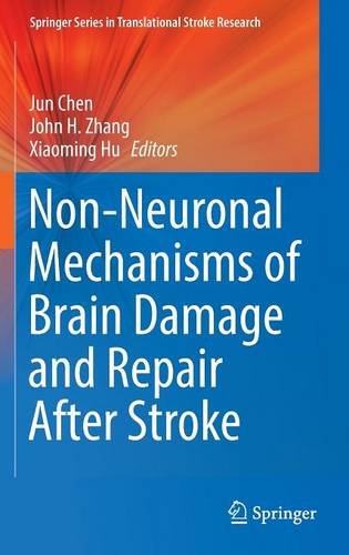 Non-Neuronal Mechanisms of Brain Damage and Repair After Stroke (Springer Series in Translational Stroke Research)