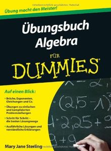 Übungsbuch Algebra für Dummies (Fur Dummies)