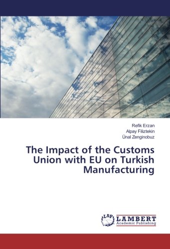 The Impact of the Customs Union with EU on Turkish Manufacturing
