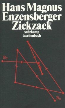 Zickzack: Aufsätze (suhrkamp taschenbuch)