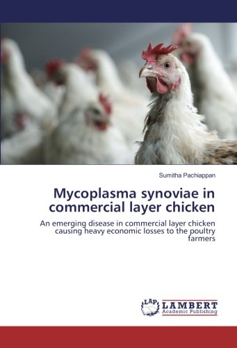 Mycoplasma synoviae in commercial layer chicken: An emerging disease in commercial layer chicken causing heavy economic losses to the poultry farmers